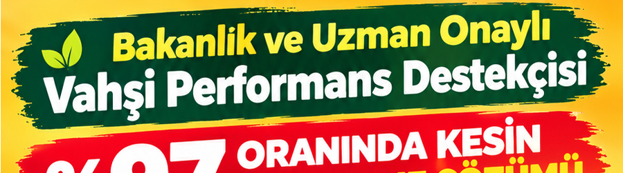 CİA DAMLA